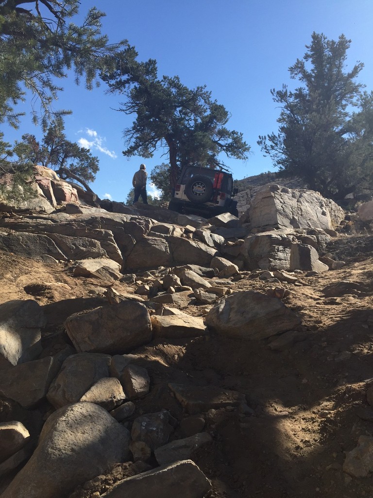 Name:  IMG_4295_zpswraylkzf.jpg
Views: 189
Size:  260.6 KB