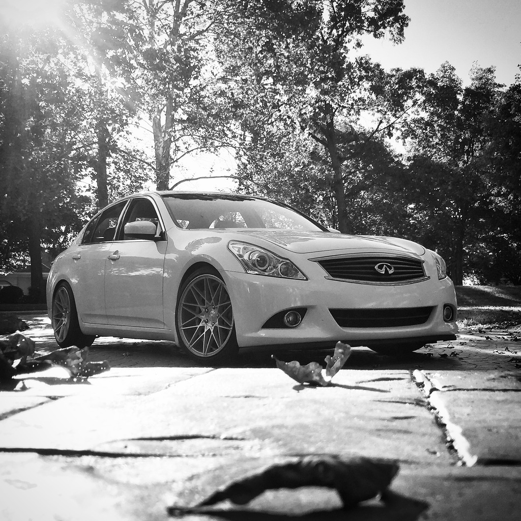 Name:  5B7CD7EF-C3AD-4BD6-9979-25800E27F5F9_zpsln5wkcgv.jpg
Views: 567
Size:  401.9 KB