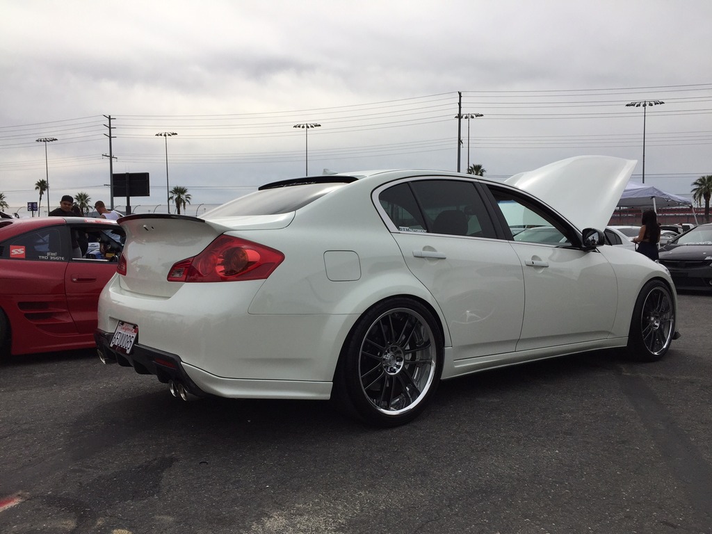 Name:  IMG_4036_zpsaikmybtf.jpg
Views: 541
Size:  174.0 KB