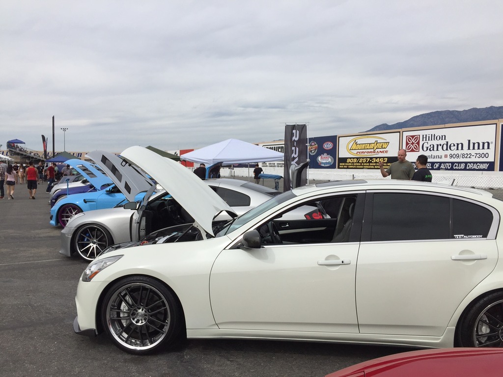 Name:  IMG_4046_zpspzgjnnwm.jpg
Views: 539
Size:  172.4 KB