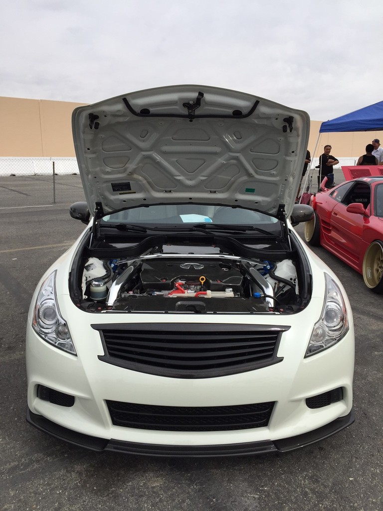 Name:  IMG_4050_zps8camqbcm.jpg
Views: 509
Size:  196.5 KB