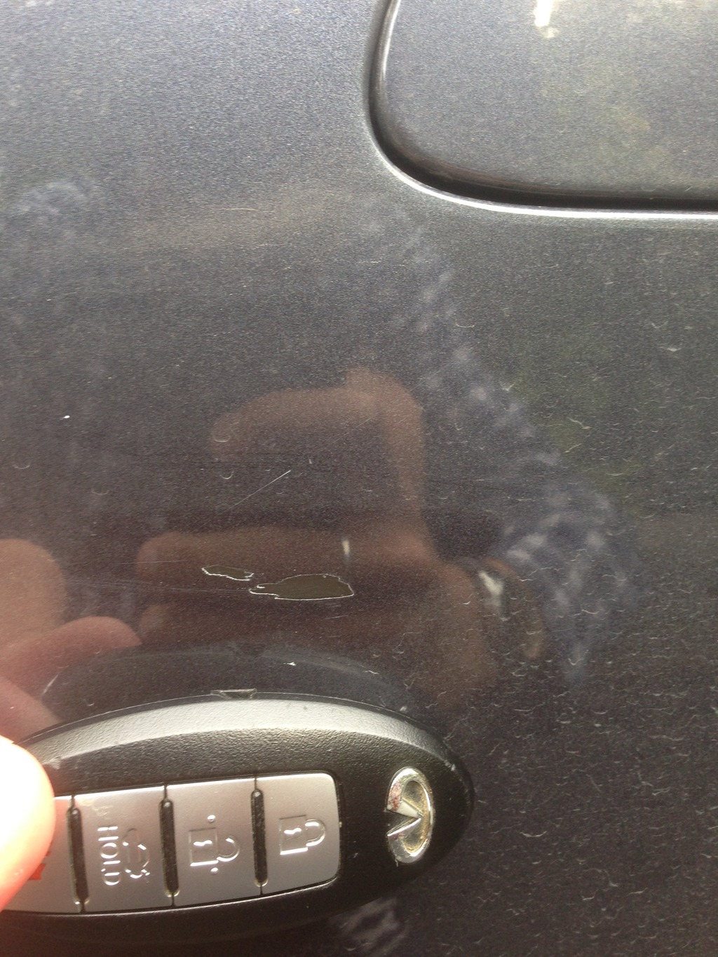 Name:  77C01EAF-A12B-44F4-B7EC-D55F592DC01A.jpg
Views: 1228
Size:  405.2 KB