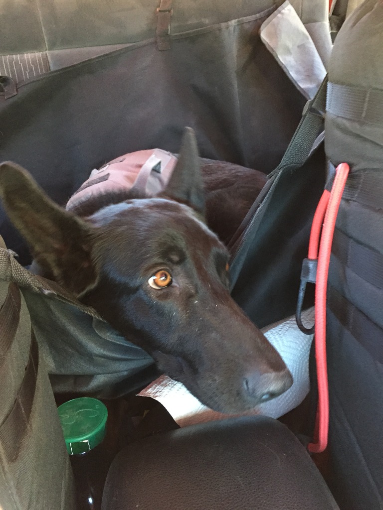 Name:  IMG_3615_zpsu8fub5td.jpg
Views: 247
Size:  207.9 KB