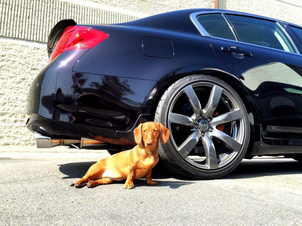 Name:  photo_2015-07-28_11-01-32_zpss2eltnuf.jpg
Views: 218
Size:  175.1 KB