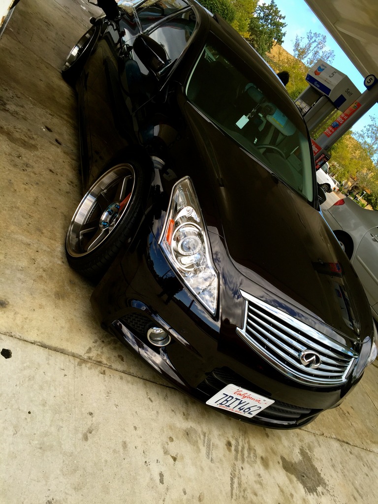 Name:  IMG_1797_zpseaqmxwlo.jpg
Views: 341
Size:  249.8 KB