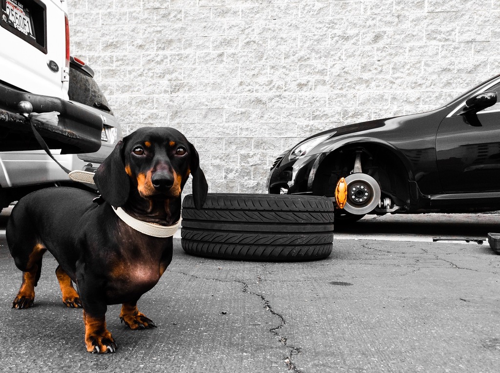 Name:  24C425D3-E33D-4E30-9F0C-7CE5B0AB81A3_zpssxvzerah.jpg
Views: 234
Size:  311.2 KB