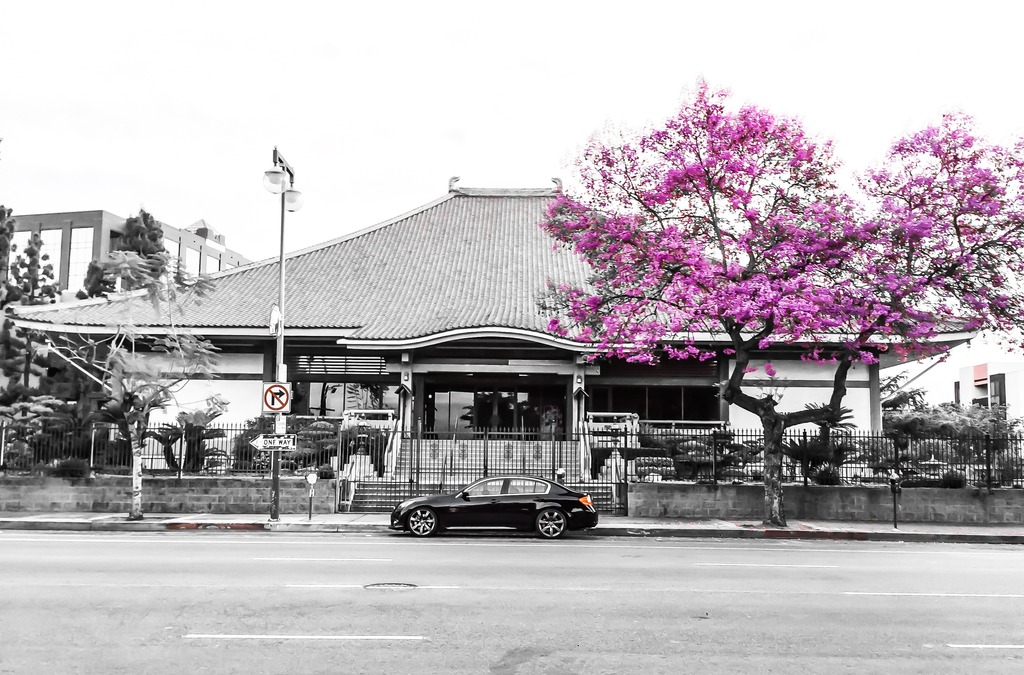 Name:  978F6E3A-6B07-4BF5-8038-C1B634FFF53A_zpsbskt6oxm.jpg
Views: 250
Size:  245.7 KB