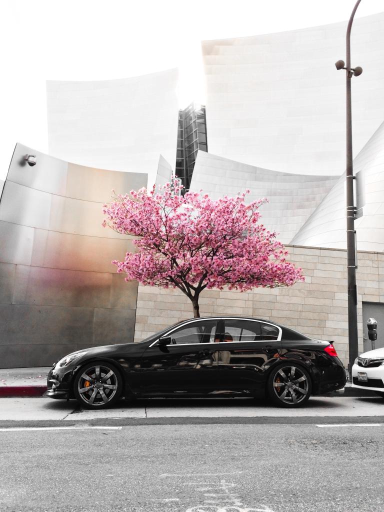 Name:  2884C3F9-5005-4923-AA98-0B2F63BD75BA_zpszxbmkz9g.jpg
Views: 332
Size:  111.8 KB