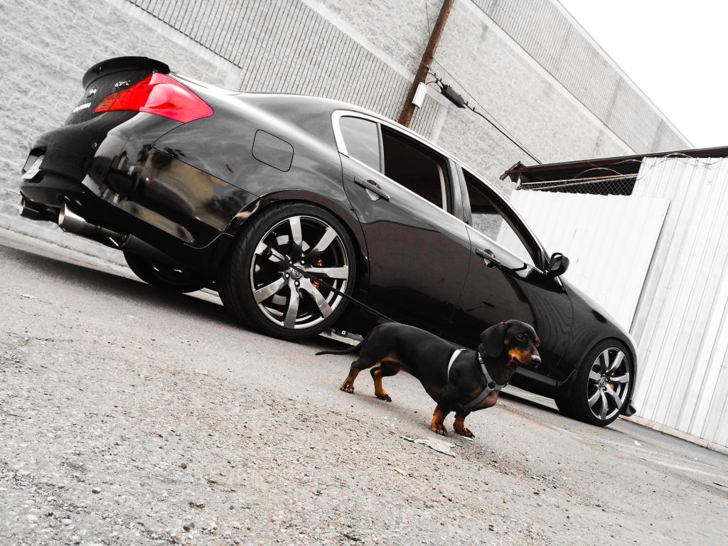 Name:  91821645-2B3B-4DEC-BDBD-48255C09755A_zps3knrscwx.jpg
Views: 354
Size:  152.5 KB