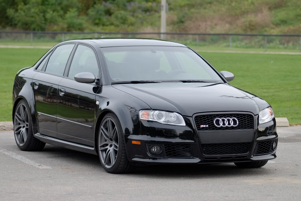 Name:  Edited_Rex_RS4_7.jpg
Views: 332
Size:  114.1 KB