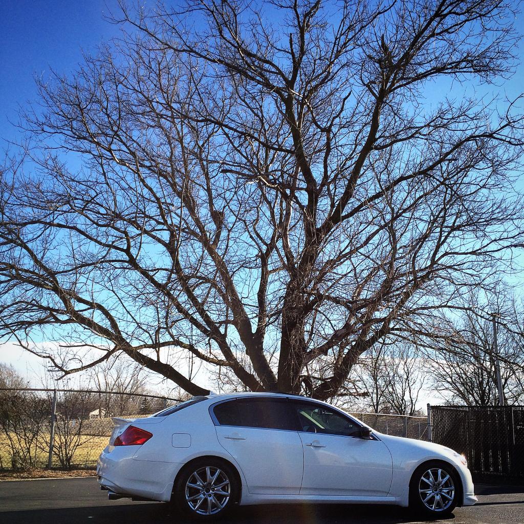 Name:  920DDE24-3BCD-4D69-A794-A034D4AEBC67_1.jpg
Views: 636
Size:  393.4 KB