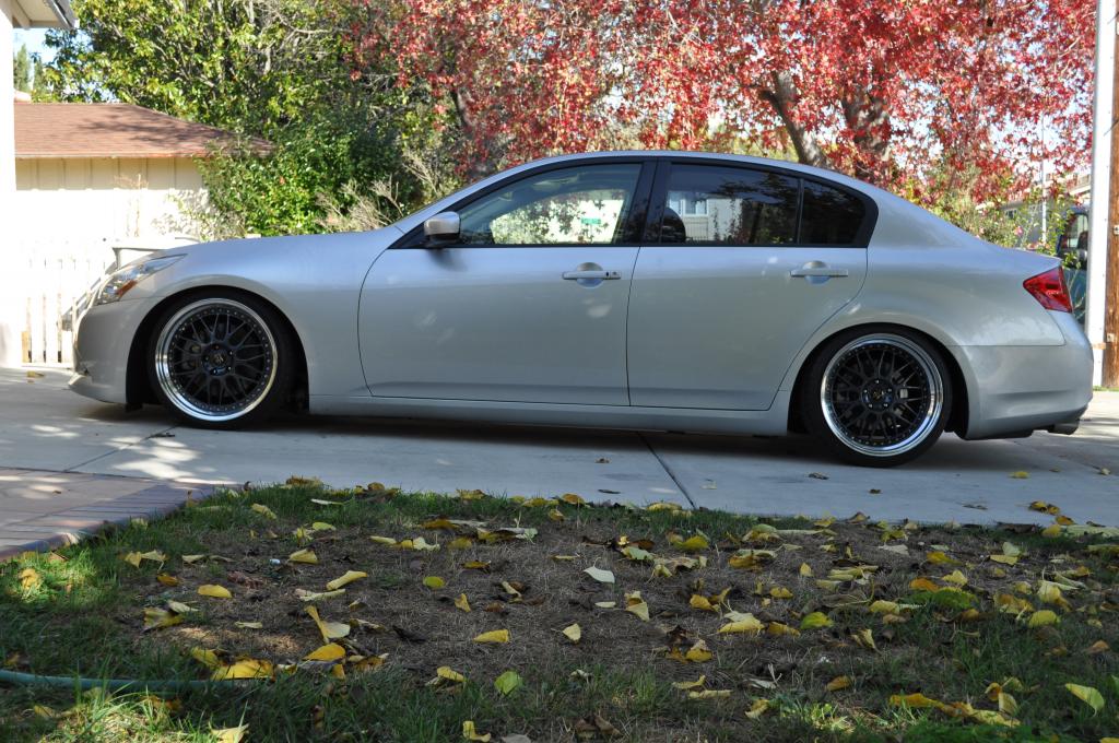 Name:  DSC_0018_zpsa5cc7287.jpg
Views: 683
Size:  154.7 KB