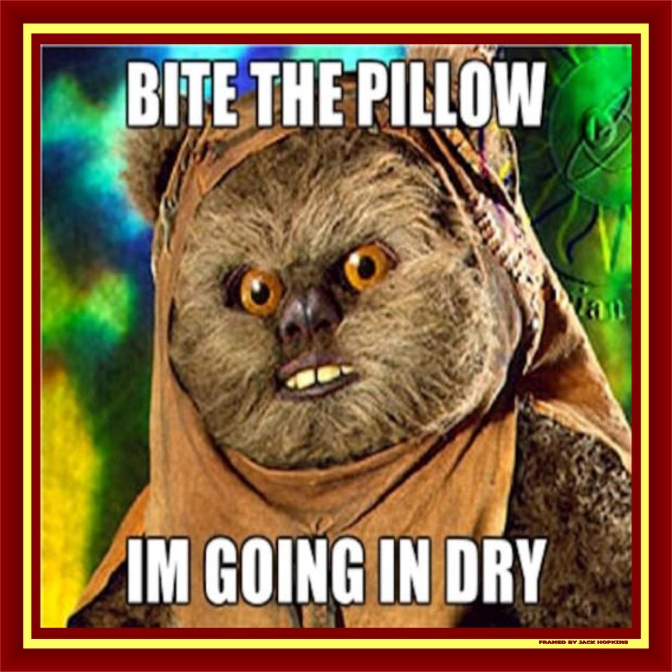 Name:  Bite-the-Pillow-Im-Going-In-Dry_zpsb7b78aca.jpg
Views: 99
Size:  119.8 KB