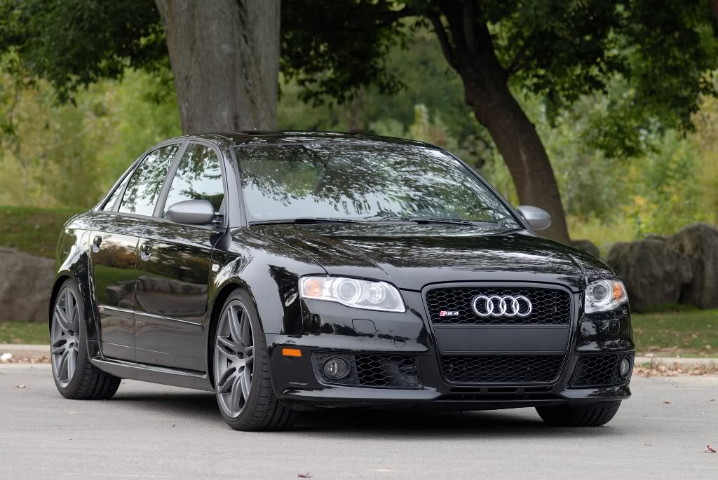 Name:  Edited_Rex_RS4_3.jpg
Views: 67
Size:  145.7 KB