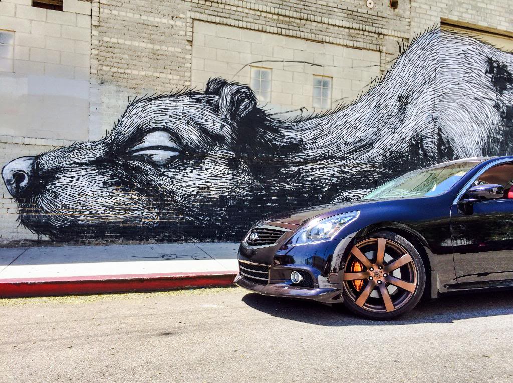 Name:  DEFB5F73-259C-439E-9F80-6A17149B126F_zpsbxw3ekem.jpg
Views: 340
Size:  220.3 KB