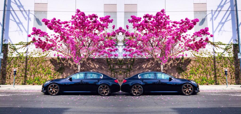 Name:  IMG_2057_zpsc07daf4a.jpg
Views: 324
Size:  128.5 KB