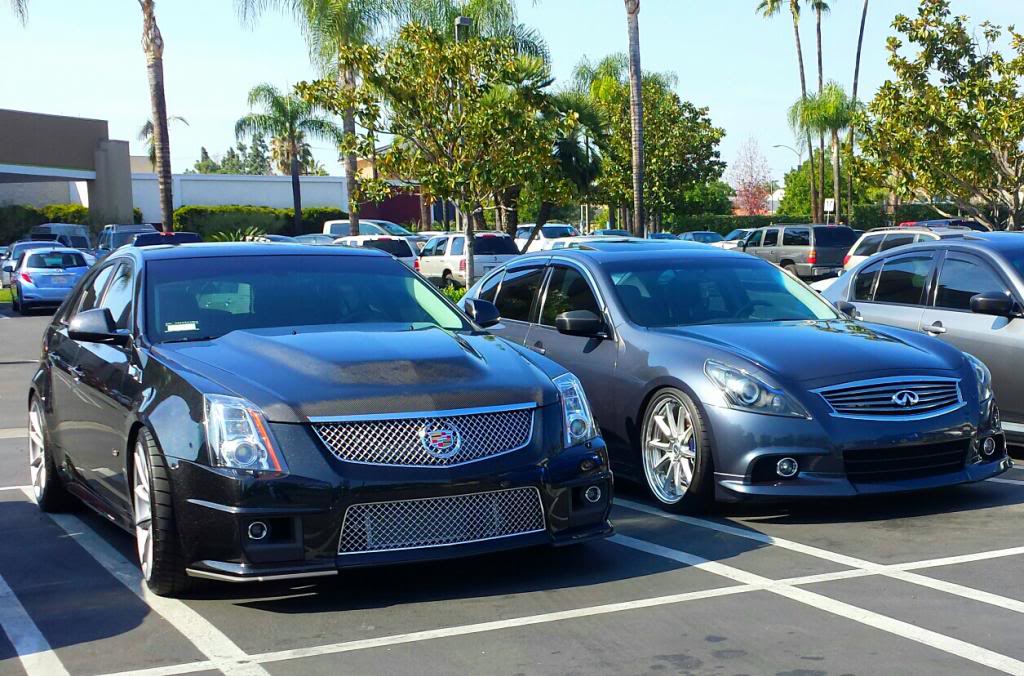 Name:  2014-02-08123604-3_zps03c2e677.jpg
Views: 159
Size:  143.2 KB