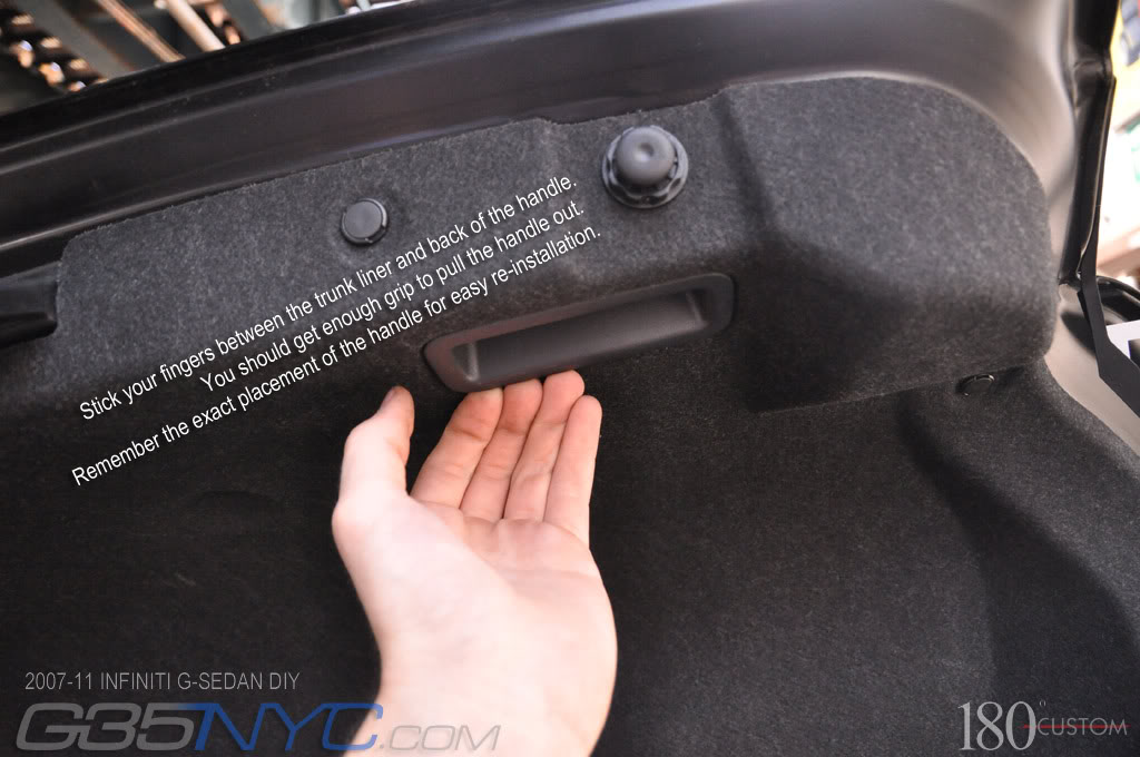 Name:  DSC_9721.jpg
Views: 228
Size:  102.0 KB