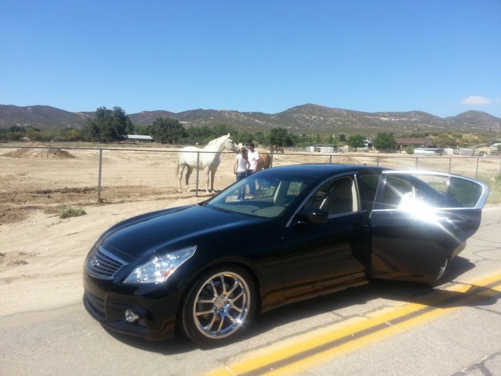 Name:  d1d14380-968d-4a7f-adb8-d4a4624d4676_zpse050d928.jpg
Views: 321
Size:  76.9 KB