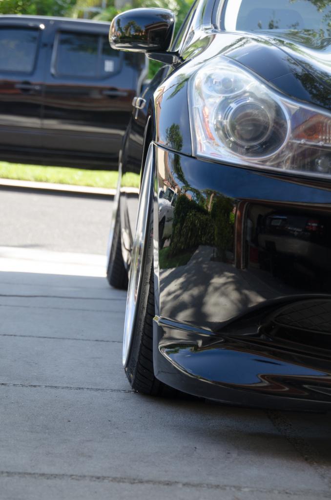 Name:  DSC_0064-1_zpsc5f1e161.jpg
Views: 313
Size:  77.7 KB