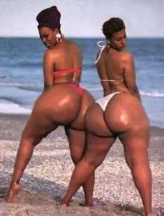 Name:  JUNK.jpg
Views: 2489
Size:  10.0 KB