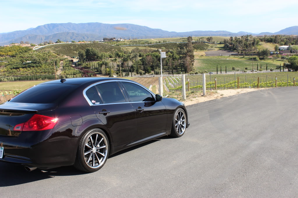 Name:  006.jpg
Views: 1716
Size:  168.0 KB