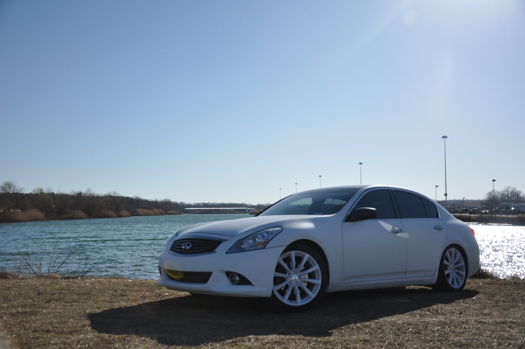 Name:  DSC_1151.jpg
Views: 1671
Size:  79.5 KB