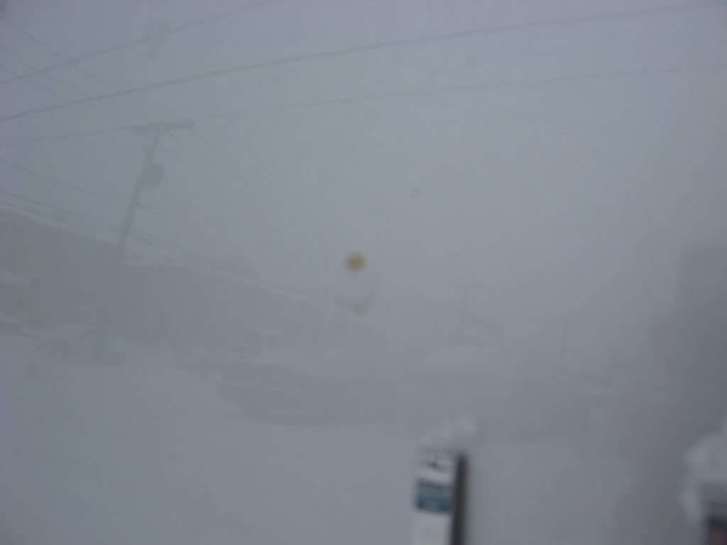 Name: IMG_0350.jpg
Views: 523
Size: 16.3 KB