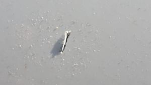 Just want to know what someof you think of this-20170816_161327.jpg