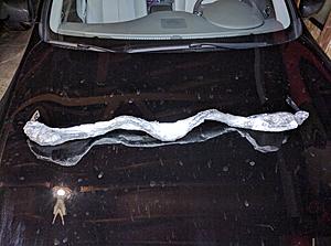 Replacement wiper inserts?-img_20170218_200536.jpg