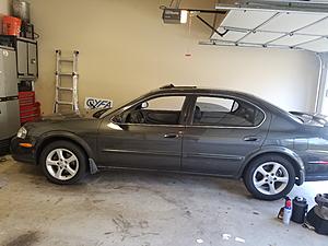 What Car(s) Did You Own Before Your G-maxima.jpg