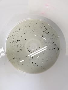 Debris in fuel pump.-20180809_180135.jpg