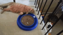 Name:  5IclFsh.gif
Views: 226
Size:  28.0 KB