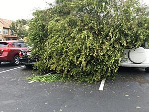 What did you do to your Sedan today?-rgmcfpp.jpg