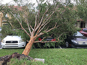 What did you do to your Sedan today?-wccs4ny.jpg