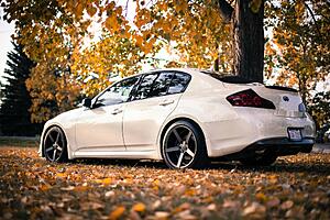 Post Your Favorite Pic Of Your Car!-pfhusx3.jpg