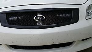 Show off your grille-6rkecvn.jpg