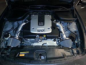 Status elite intakes ftw-nw5rjek.jpg