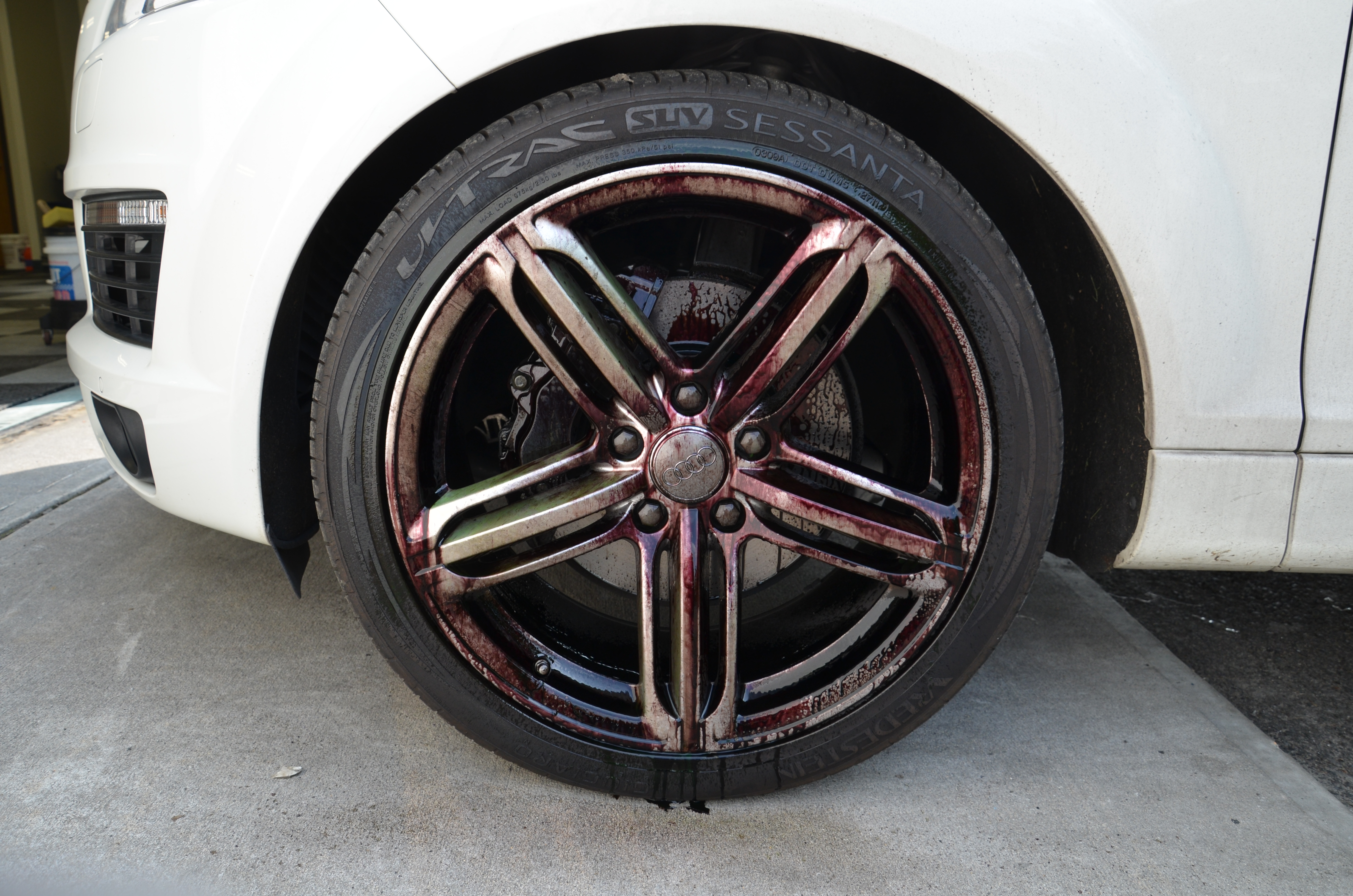 Name:  sonaxinaction4.jpg
Views: 72
Size:  6.76 MB