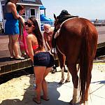 Tgif!-happy_hump_day_40_photos13.jpg