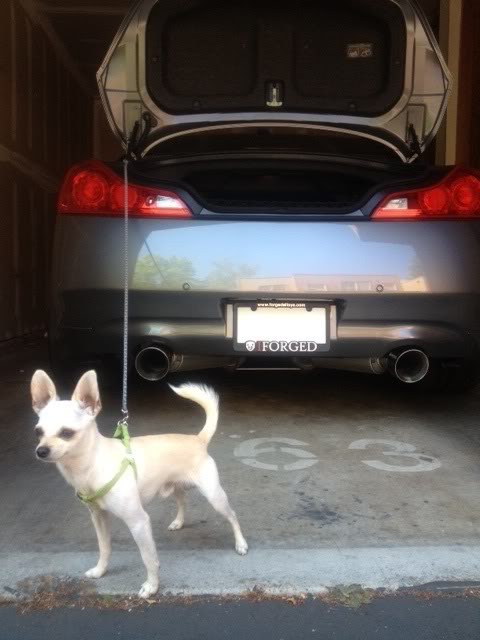 Name:  dogg.jpg
Views: 92
Size:  41.7 KB