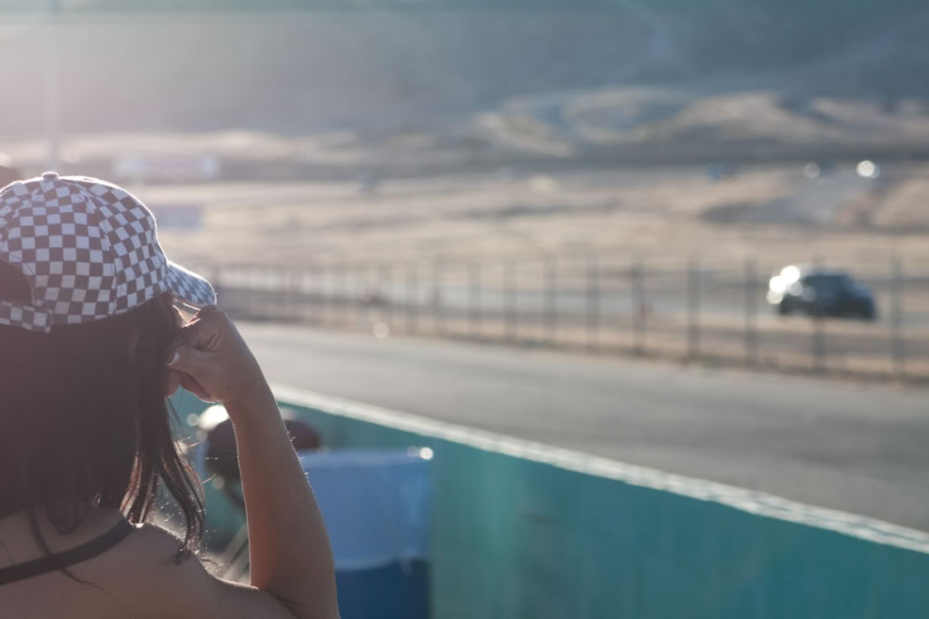 Name:  _MG_8772.jpg
Views: 12
Size:  47.3 KB