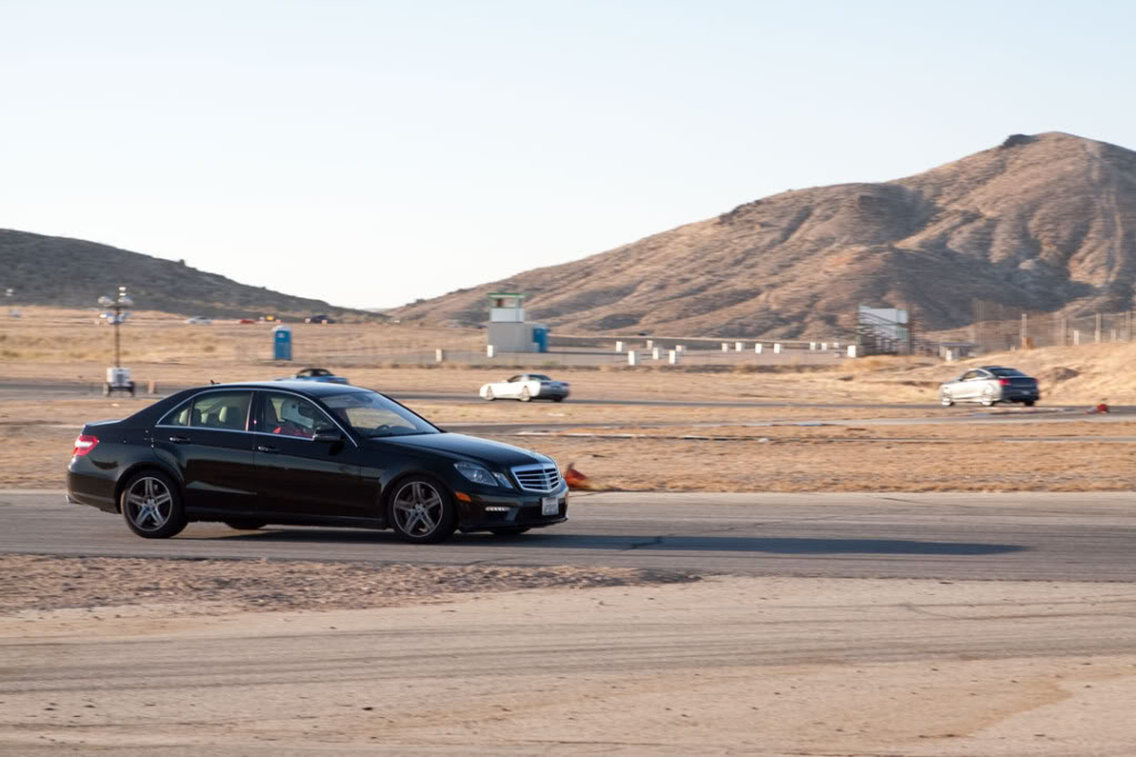 Name:  _MG_8775.jpg
Views: 11
Size:  94.3 KB