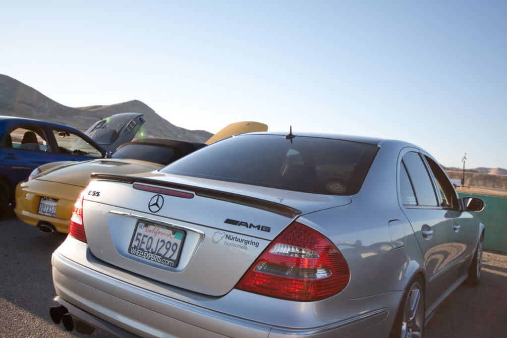 Name:  _MG_8799.jpg
Views: 11
Size:  85.1 KB