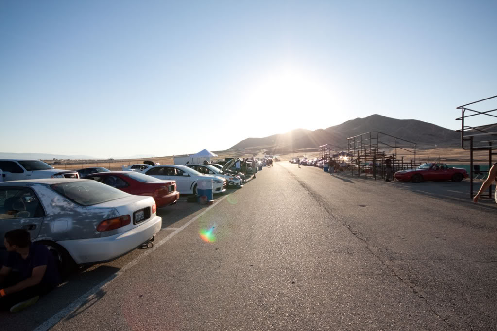 Name:  _MG_8803.jpg
Views: 11
Size:  111.8 KB