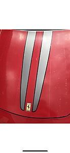 Temporary paint protection is here!-photo88.jpg