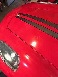 Temporary paint protection is here!-photo537.jpg