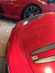 Temporary paint protection is here!-photo886.jpg
