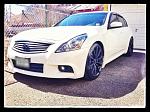 Hello from Jersey-g37.1.jpg