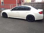 Hello from Jersey-g37.5.jpg